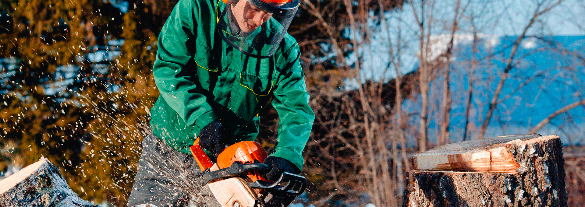 ASTAT - Tree removal and pruning